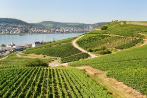 Dreiländer-Kreuzfahrt: Frankfurt - Mannheim - Basel - Straßburg - Rüdesheim - Mainz - Frankfurt mit der MS Rhein Prinzessin Dreiländer-Kreuzfahrt: Frankfurt - Mannheim - Basel - Straßburg - Rüdesheim - Mainz - Frankfurt mit der MS Rhein Prinzessin