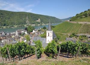 Höhepunkte an der Mosel: Köln - Trier - Koblenz - Köln mit der MS Switzerland Höhepunkte an der Mosel: Köln - Trier - Koblenz - Köln mit der MS Switzerland