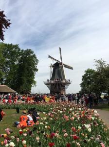 Holland- & Belgien-Kaleidoskop: Köln - Amsterdam - Ijsselmeer - Enkhuizen - Rotterdam - Gent - Antwerpen - Nijmegen - Köln mit der MS Alena