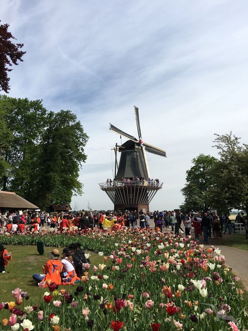 Holland- & Belgien-Kaleidoskop: Köln – Amsterdam – Ijsselmeer – Rotterdam – Gent-Außenhafen – Antwerpen – Nijmegen – Köln mit der MS Asara