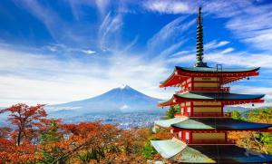 Japan, Südkorea und China: Taipeh - Saki Insel - Okinawa Insel - Osaka - Nagoya - Yokohama - Wladiwostok - Busan - Jeju Insel - Shanghai - Hongkong mit der MS Albatros Japan, Südkorea und China: Taipeh - Saki Insel - Okinawa Insel - Osaka - Nagoya - Yokohama - Wladiwostok - Busan - Jeju Insel - Shanghai - Hongkong mit der MS Albatros