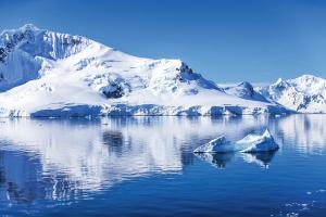 MS HEBRIDEAN SKY - Antarktische Halbinsel - Einzigartige Tierwelt