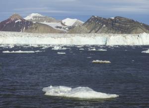 MS ORTELIUS: Nord-Spitzbergen Eisbären und Packeis