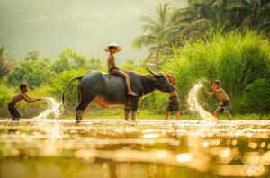 Morgenröte: Angkor Wat - Tonlé See - Mekong-Flussfahrt - Mekong-Delta - Saigon mit der MS Lan Diep