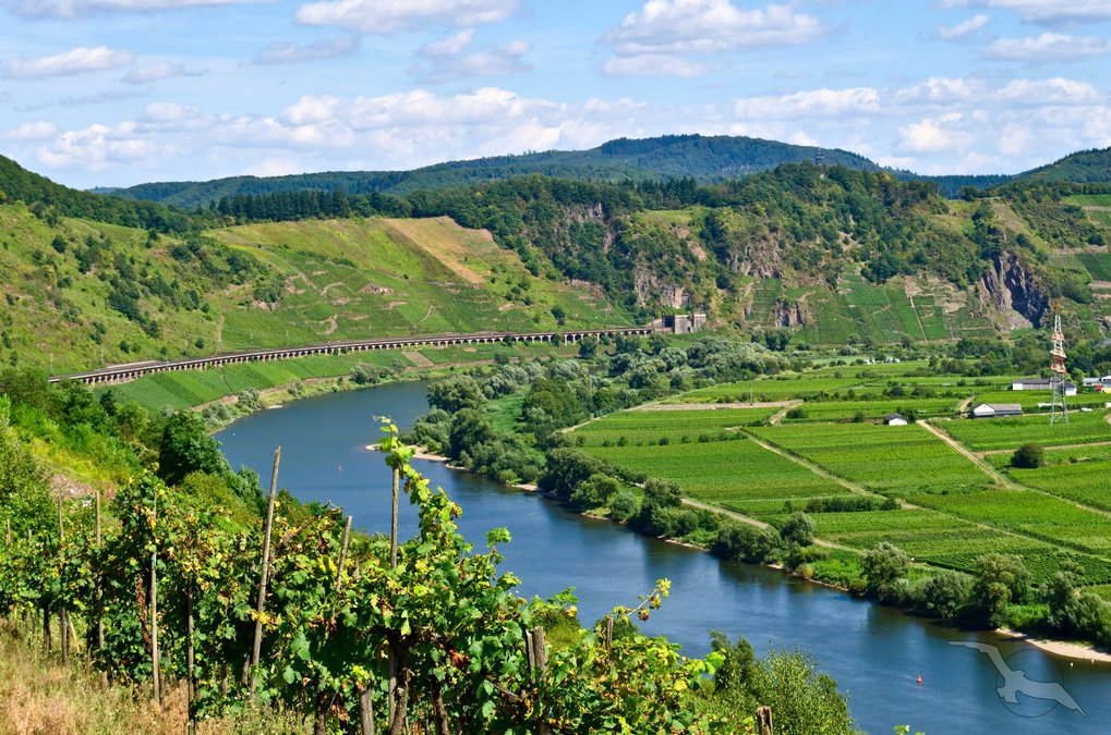 Rheinromantik und Moselzauber: Köln - Rüdesheim - Trier - Köln mit der MS Switzerland