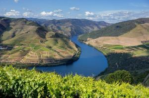 Zauber Portugals: Porto - Régua - Vega de Terrón - Barca d'Alva - Ferradosa - Pinhao - Porto Antigo - Porto - Lissabon mit der MS Magellan