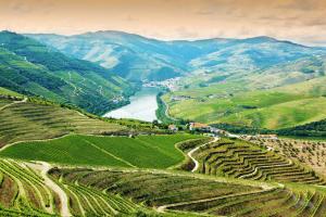 Zauber Portugals: Porto – Régua - Vega de Terrón - Barca d'Alva - Ferradosa  – Lissabon mit der MS Magellan